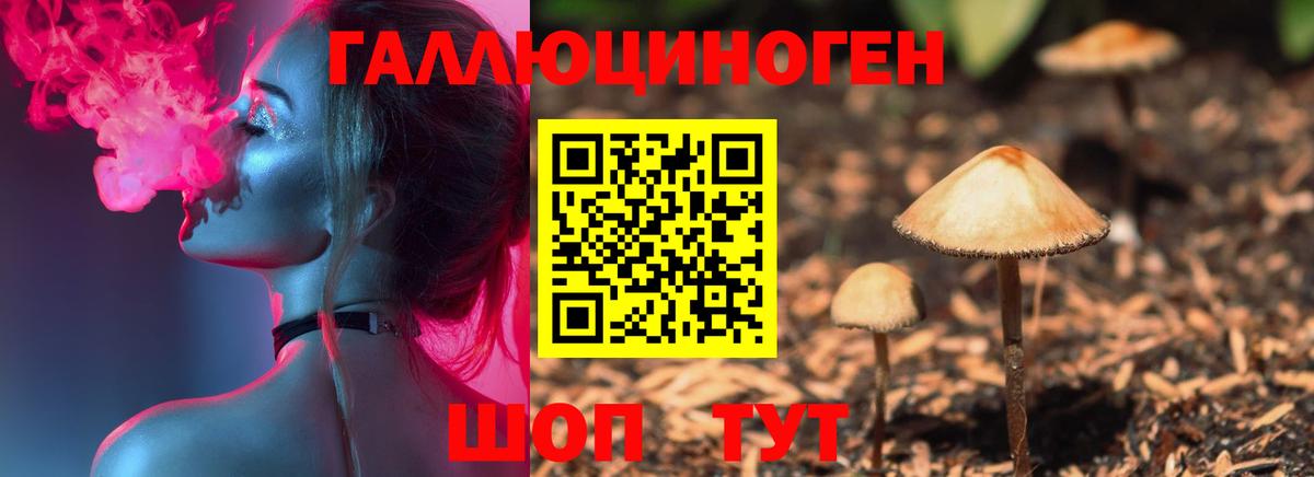 Тосно  Галлюциногенные грибы GOLDEN TEACHER  Вход с VPN 