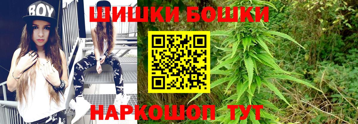 Конопля конопля Тосно